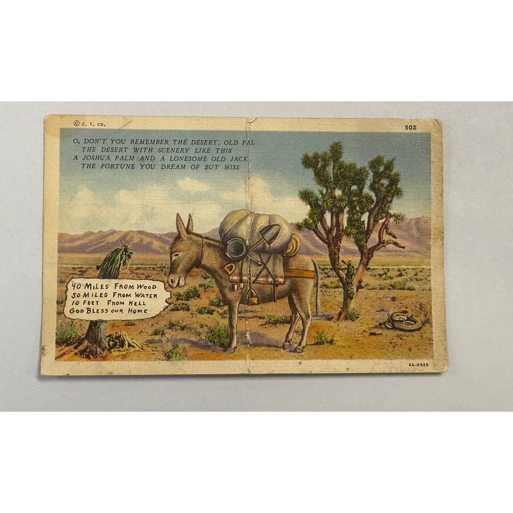 Vintage 1936 Curt Teich Linen Postcard Desert Burro 10 Feet From Hell 4A-H925